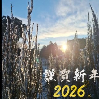 明けましておめでとうございます！皆様のお陰で無事新年を迎える事が出来ました、本年も大島緑地を宜しくお願い致します🙇
年明けから雪が降り休んでいられませんでしたが本日より本格始動致しますのでドシドシご連絡お待ちしております。資材費高騰や、猛暑の生育不良など大変な事も有りますが本年も全力で生産して参ります！

#謹賀新年 #あけましておめでとうございます #大島緑地 #千葉県 #園芸 #植木 #庭木 #庭 #庭木 #庭づくり #外構 #造園 #造園業 #植栽 #植栽工事 #植栽デザイン #ガーデニング #ガーデナー #みどりのある暮らし #植木鉢 #植木生産 #植木販売 #自社生産 #植木スタグラム #treenursery #hedge #pottedplants #gardenshrub
